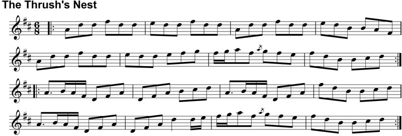 Double Jig: The Thrush's Nest