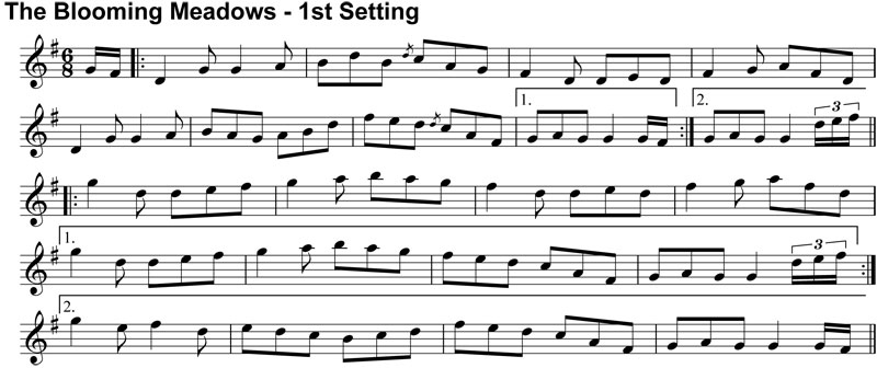 Double Jig: The Blooming Meadows - 1st Setting