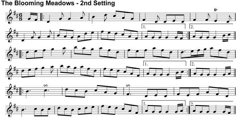 Double Jig: The Blooming Meadows - 2nd Setting