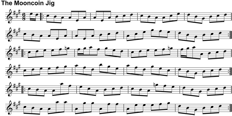 Double Jig: The Mooncoin Jig