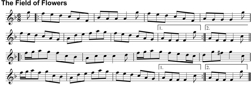 Double Jig: The Field of Flowers